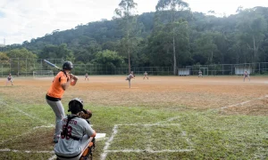Quer aprender beisebol?