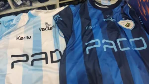 <strong>O GRANDE ALVICELESTE DO PARANÁ DESBOTOU?</strong>