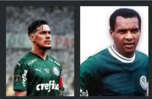 Luizão Pereira x Gustavo Gomez