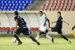 TOC! TOC! TOC! É da casa do Bolsonaro? Não! Acorda Londrina